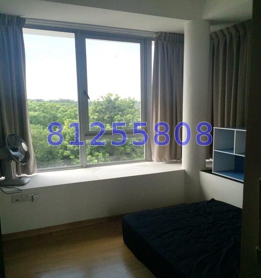 D' Chateau @ Shelford (D11), Apartment #72584271